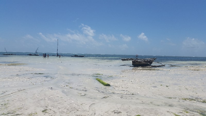 Zanzibar w grudniu